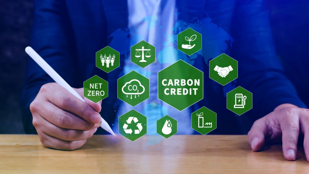 he National Carbon Accounting System (NCAS) helps track carbon credits, emissions, and progress towards net zero goals