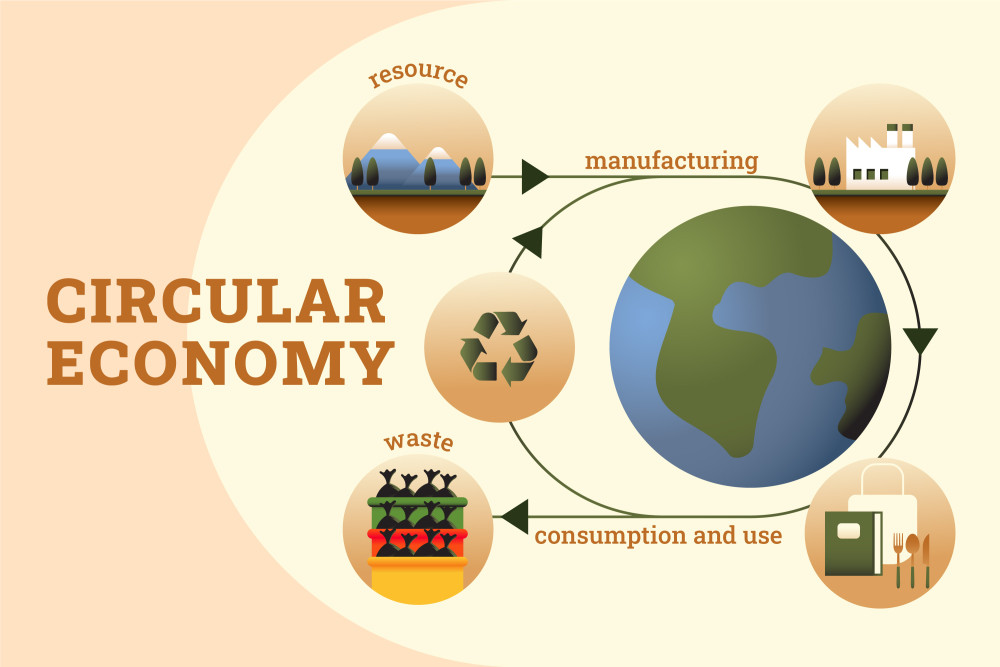 Circular Economy Innovations: Sustainable Materials, Design, and Business Models