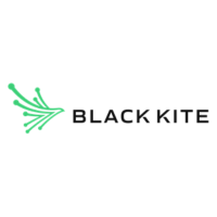 Black Kite