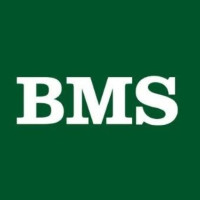 BMS Heavy Cranes A/S
