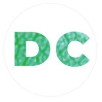 Dual Citizen LLC