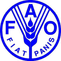 Food and Agriculture Organization of the United Nations (FAO)