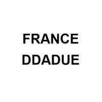 France Mandatory Energy Audit for Large Companies (DDADUE)