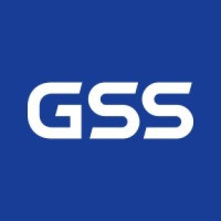Galaxy Software Services Corporation (GSS)
