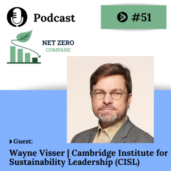 Wayne Visser on How Businesses Can Separate Climate Technology Progress From Hype