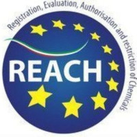 REACH Regulation (EC No. 1907/2006)