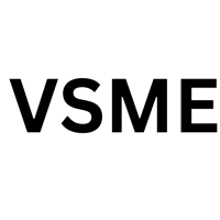 Voluntary Reporting Standard for SMEs (VSME)