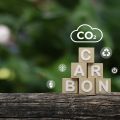 Tracking Carbon with Precision: The Evolution and Impact of the National Carbon Accounting System (NCAS)