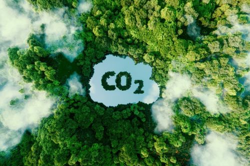 112 Cities and 2 U.S. States Recognized on CDP’s 2024 Environmental A List