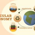 Circular Economy Innovations: Sustainable Materials, Design, and Business Models