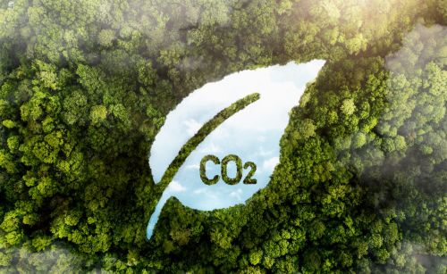 Only 15% of UK Small Businesses Have Measured Their Carbon Footprint, Report Finds