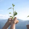Carbon Accounting vs. Climate Risk Management - What's the Difference