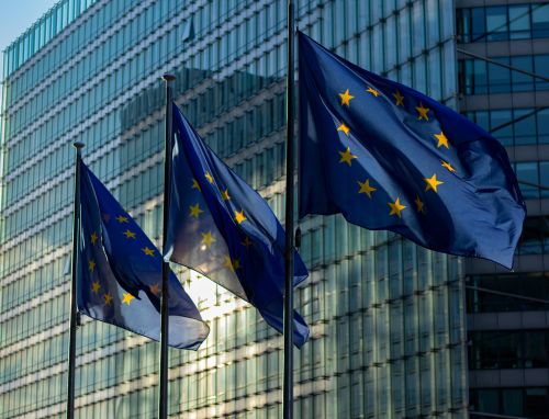 ECB, Academics Warn EU Over Risks of Easing Corporate Climate Reporting Rules