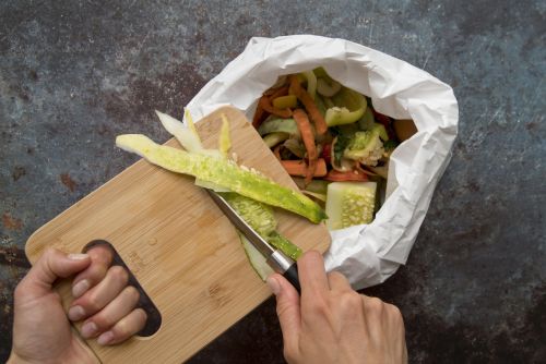 Turning Food Waste into Resources for a More Sustainable Food System