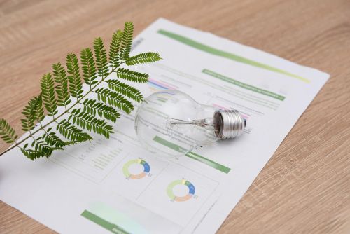 36 Jurisdictions Progress Toward Adopting ISSB Sustainability Standards