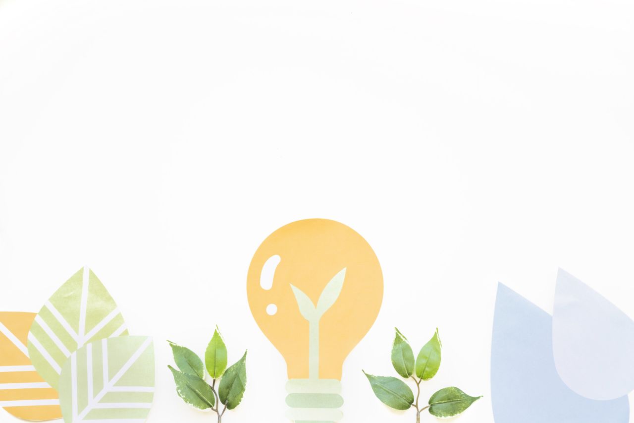 Light bulb and plants