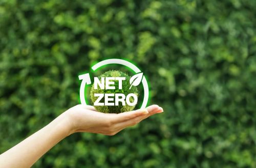 Forbes Releases 2025 Net Zero Leaders List, Spotlighting Companies Advancing Emissions Reduction Goals