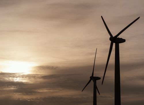 Onshore vs Offshore Wind Energy: How Location Changes Turbine Design, Costs, Output, and Environmental Impact