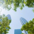 From Grey to Green: Transforming Urban Infrastructure