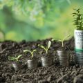 Carbon Accounting: A Complete Guide to Measuring and Reducing Emissions