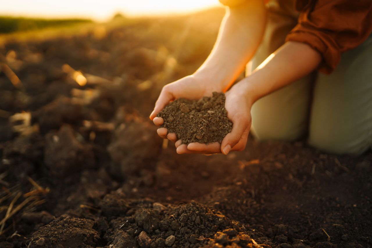 Woman farmers hand touch soil check its health before growing vegetables Concept of agriculture